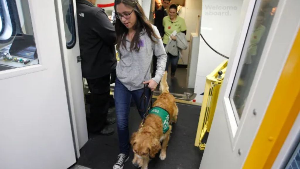 Oakland airport Traveling With Pet 