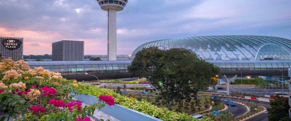 Japan Airlines Singapore Changi Airport – SIN Terminal